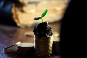 small capital