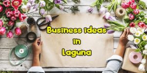 business ideas laguna