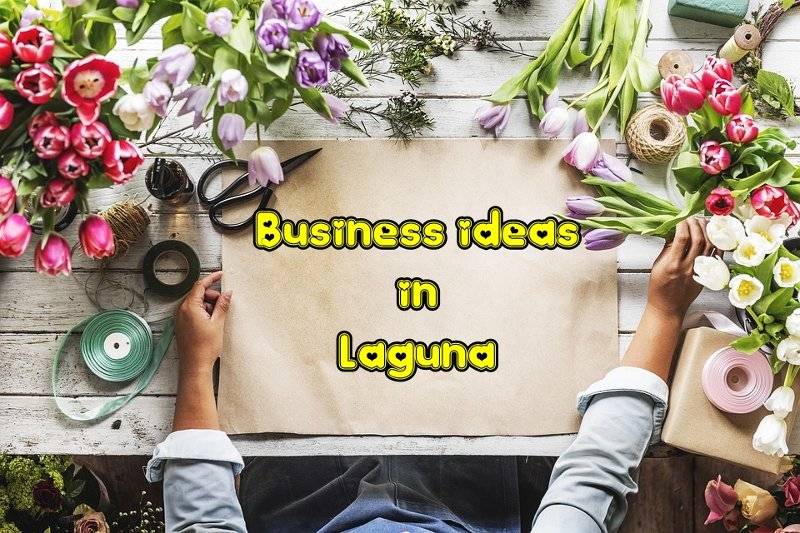 business ideas laguna