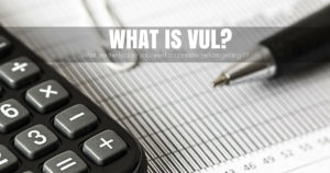 VUL Factors