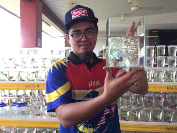 Engineer Quits Career to Become a Fish Breeder, Now Earns Huge Income
