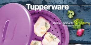 How to Start Your Own Tupperware Business in the Philippines