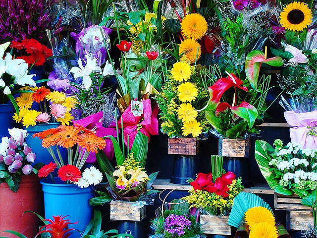 How to Start a Flower Shop Business in the Philippines