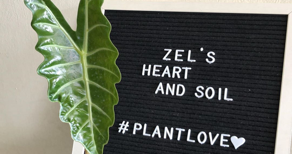 Zel's Heart and Soil