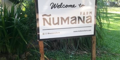 Numaña Farm
