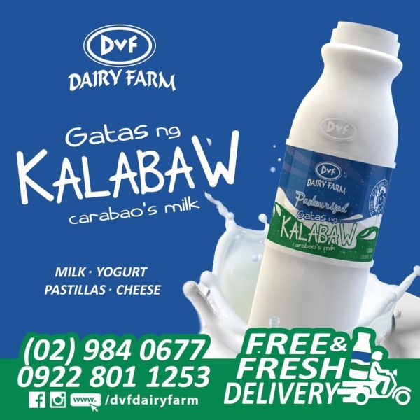 DVF Dairy Farm