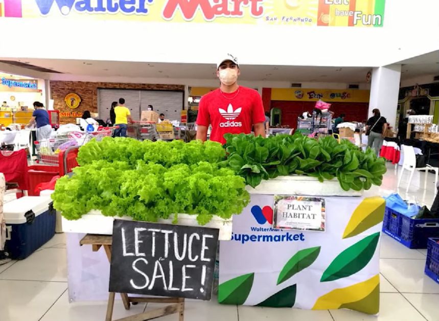 21-Year-Old Guy Starts Hydroponics Farming Business with Php1k Capital