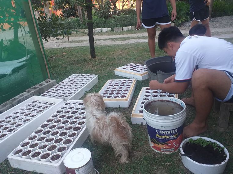 21-Year-Old Guy Starts Hydroponics Farming Business with Php1k Capital