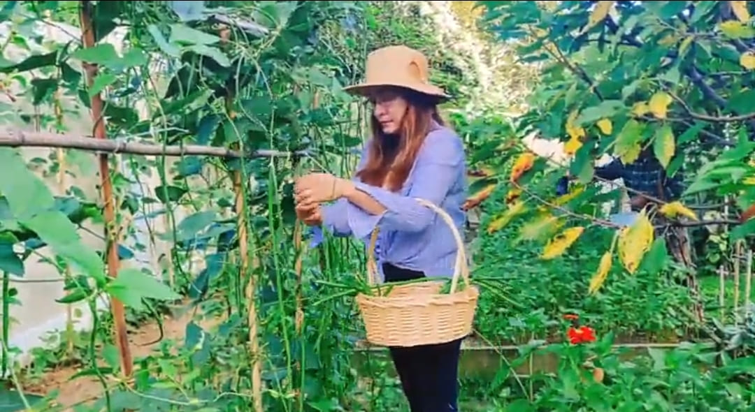 Pinay Nurse In US Transforms Backyard Into Garden, Conducts "Talipapa Days" To Sell Her Produce