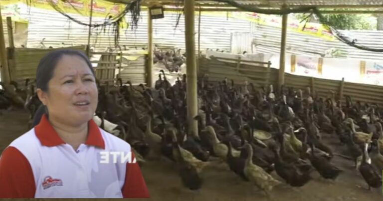Agripreneur From Bohol Shares Success Story Of Building Her Own Duck Farm