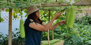 Pinay Nurse In US Transforms Backyard Into Garden, Conducts "Talipapa Days" To Sell Her Produce