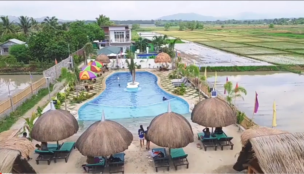 Couple Builds 'Beach' Pool Resort In The Middle Of Rice Fields