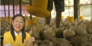 Agripreneur Shares Tips On How To Start A Broiler Chicken Farm