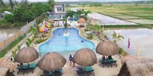 Couple Builds ‘Beach’ Pool Resort In The Middle Of Rice Fields
