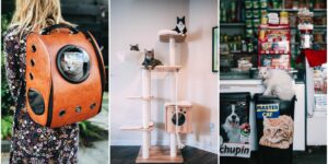 Tips for Opening and Running a Pet Supplies Business