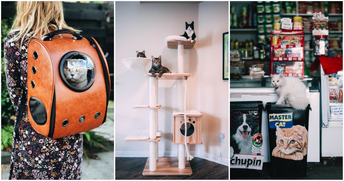 Tips For Opening And Running A Pet Supplies Business