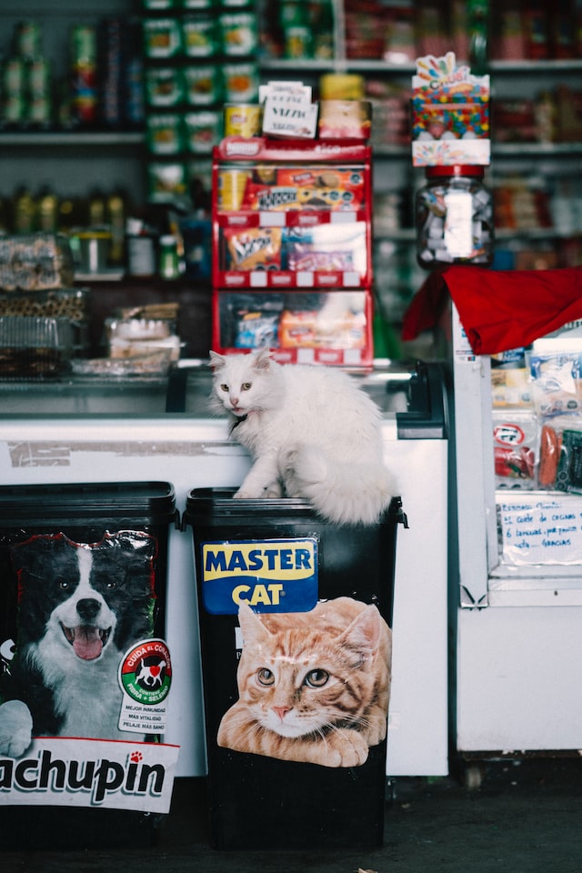 Tips for Opening and Running a Pet Supplies Business