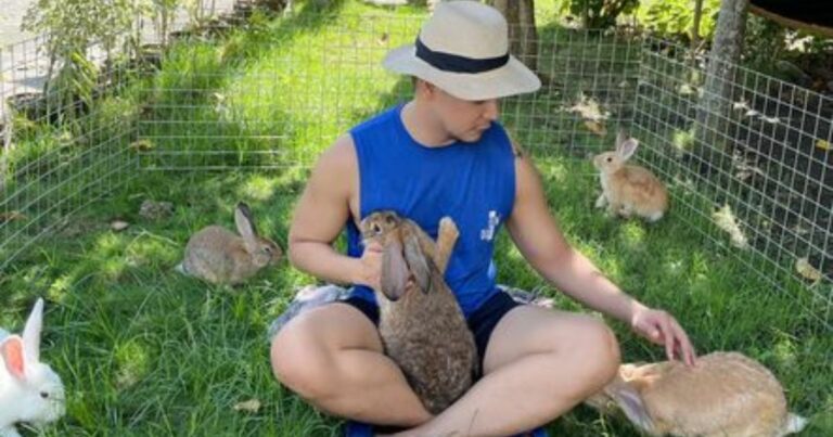Former OFW Returns Home And Starts A Rabbit Business