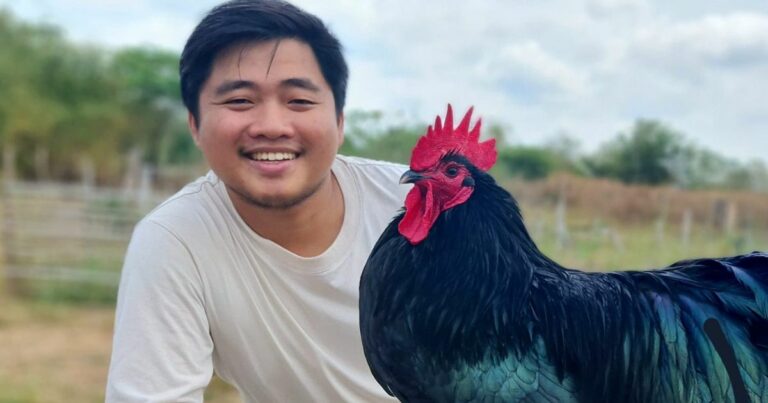 Engineering Graduate Finds Success In Chicken Breeding Farm